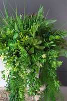 Greenita Sukulenty Saute, zielona dekoracja do twojej donicy