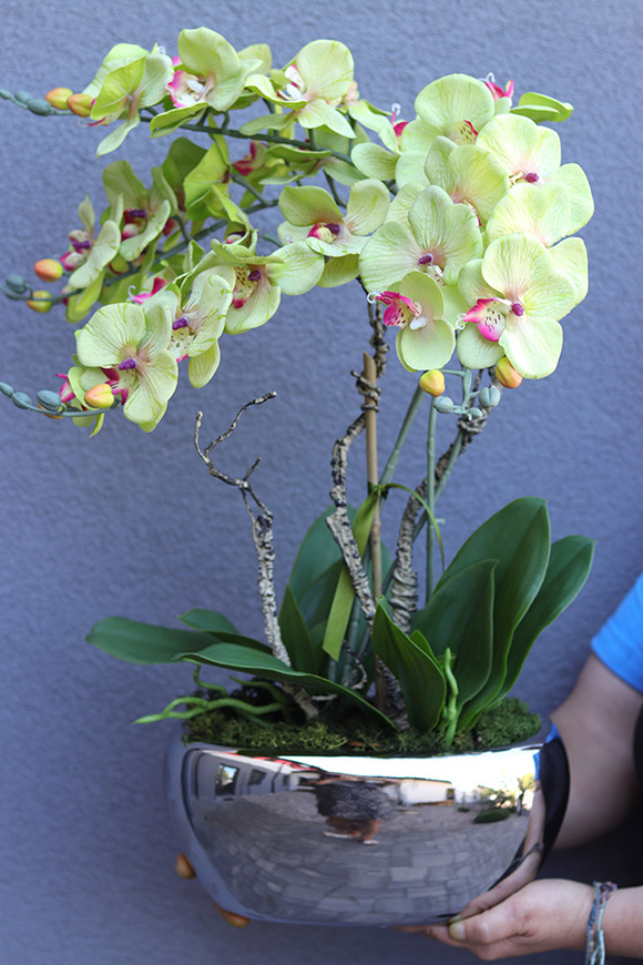 Greenfelo, sztuczny storczyk w lustrzanej donicy, wys.58cm