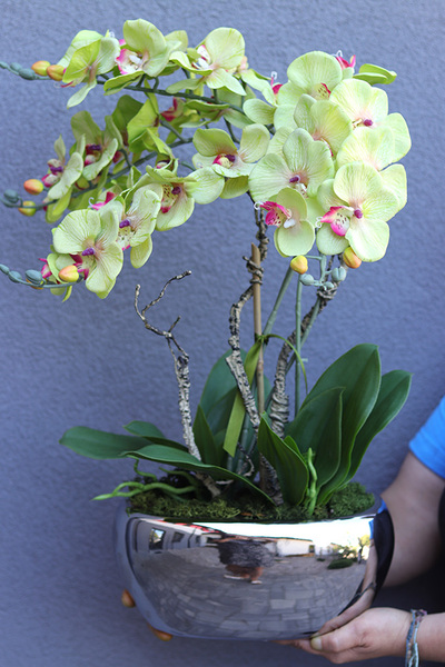 Greenfelo, sztuczny storczyk w lustrzanej donicy, wys.58cm