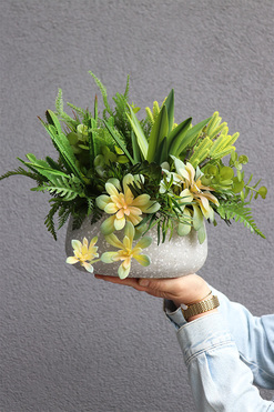 Stone Style, sukulenty w donicy z lastryko, wym.27x42cm