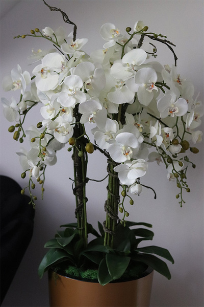 Golderia Copper Matte, elegancki storczyk podłogowy w miedzianej donicy, wys.130cm 