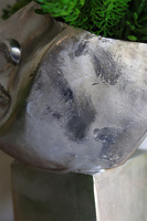 Suculentas Espana sukulenty w głowie kompozycja