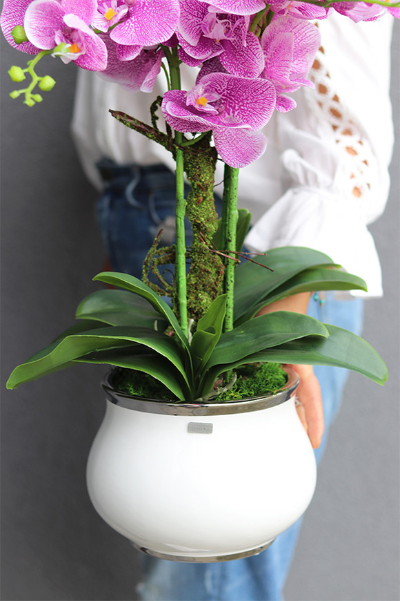 Pink Cabello, różowy gumowy storczyk w donicy