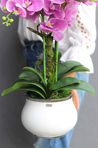 Pink Cabello, różowy gumowy storczyk w donicy