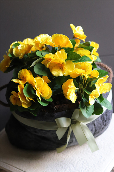 Anielska Wieś Volcan, żółte bratki w naczyniu