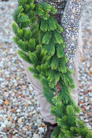 OD RĘKI atrakcyjna girlanda świąteczna, Natural Christmas, dł.160cm    