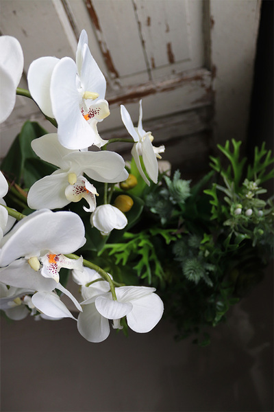 dekoracja sukulenty ze storczykiem, Andżelika Balconera, wym.64x80cm 