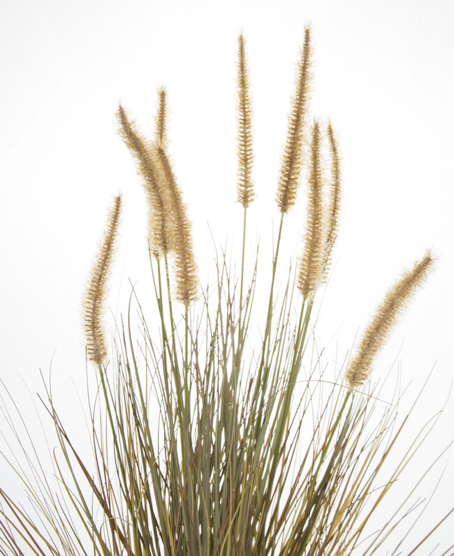 Savanni, sztuczna trawa z kłosami, wys.70cm