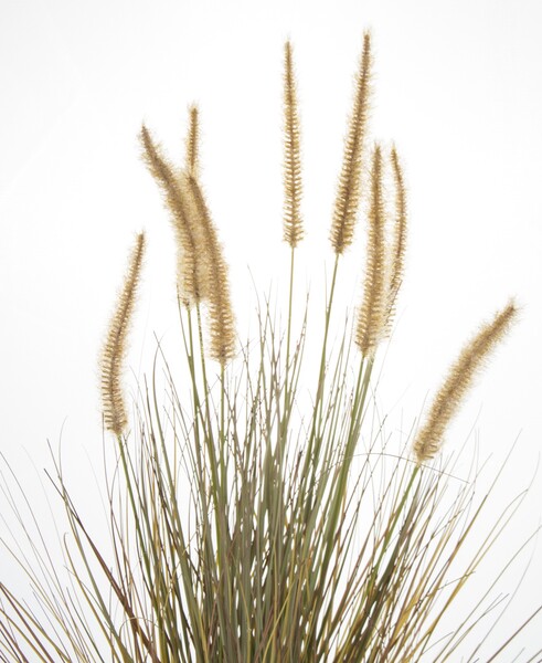 Savanni, sztuczna trawa z kłosami, wys.70cm