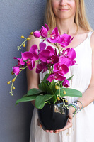 Fuksja Mini Black, sztuczny storczyk w naczyniu