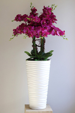 Gizelle Fuksja New, gumowy storczyk w białej donicy, wys.120cm