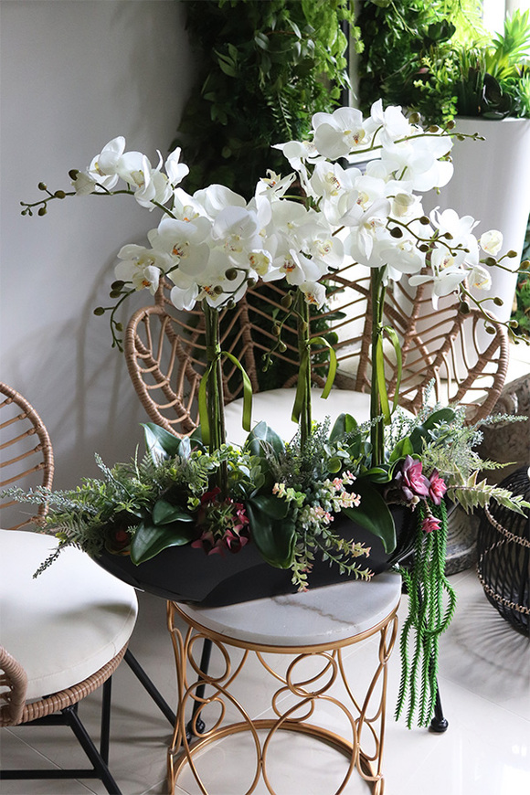 Asiano Laos Black, ekskluzywny storczyk z sukulentami, wym.71x60cm 