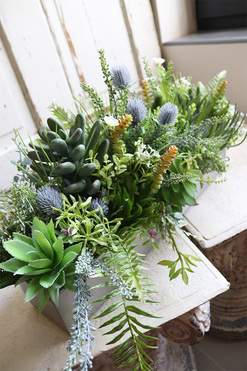 dekoracja zielona Sukulenty w stalowej donicy, Suculenti Steel, wym.30x66cm 