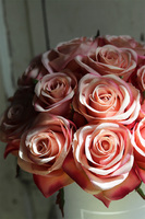 Róża, bogaty flowerbox z różami, wys.32cm 