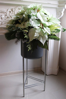 Gwiazda Betlejemska Design Biel, kompozycja na stojaku