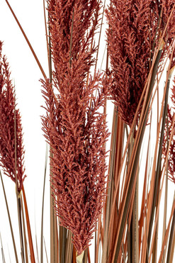  sztuczna trawa Pióropusze, rudy, wys.180cm