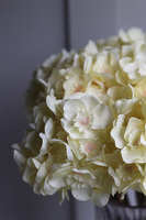 Narcissa, bukiet kwiatów w wazoni