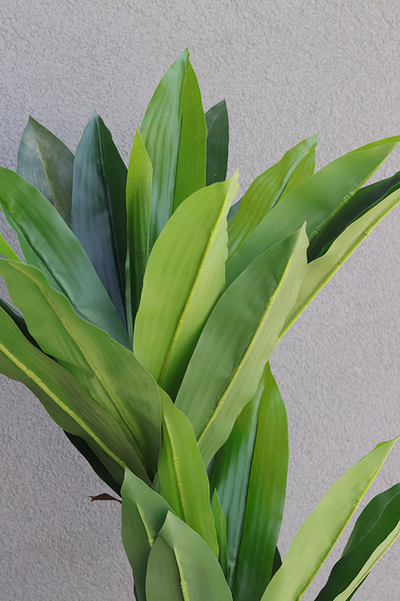 Jukka, sztuczna roślina drzewko