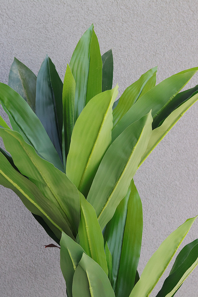 Jukka, sztuczna roślina drzewko