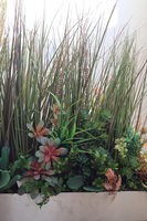 Albertina Steel, trawy w stalowej donicy