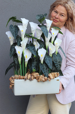 OD RĘKI Kalle Biel Deluxe, kompozycja kwiatowa w donicy, wym.66x47cm