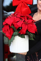 Gwiazda Betlejemska Moment, wysokiej jakości sztuczna roślina