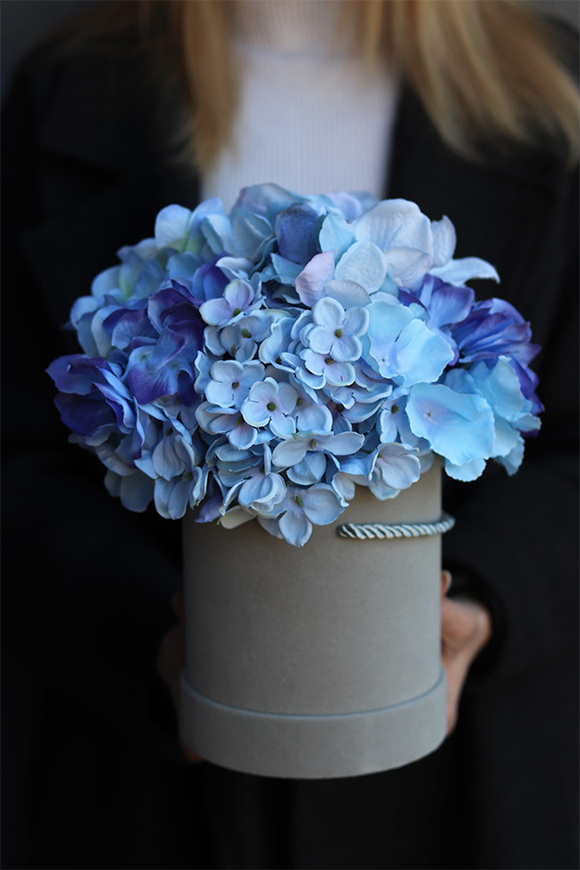 Niebieska Hortensja 3, szary flowerbox z kwiatami