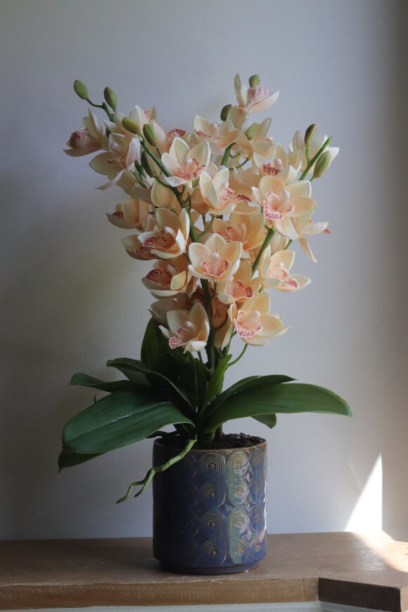 Morelle Cymbydium, sztuczny storczyk w doniczce