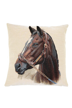 Gniady, poszewka gobelinowa dwustronna, 45x45cm