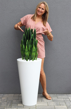 Sansewieria Della Biel, roślina sztuczna w donicy, wys.120cm