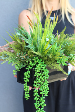 Green Design B, kompozycja sukulenty w czarnej donicy, wym.34x40x30cm