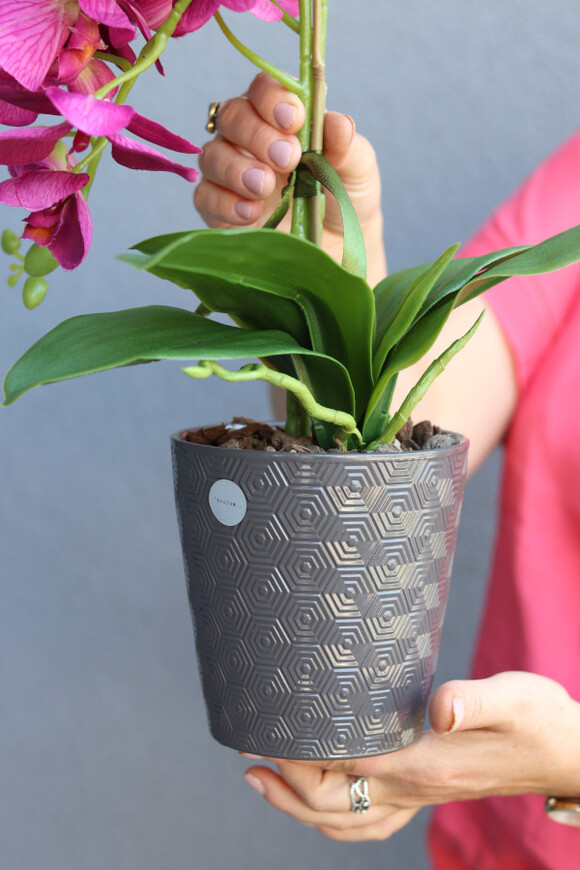 Fuksja Ontario, sztuczny storczyk w donicy