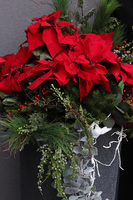 Gwiazda Betlejemska Nevis, wysokiej jakości sztuczna roślina XL