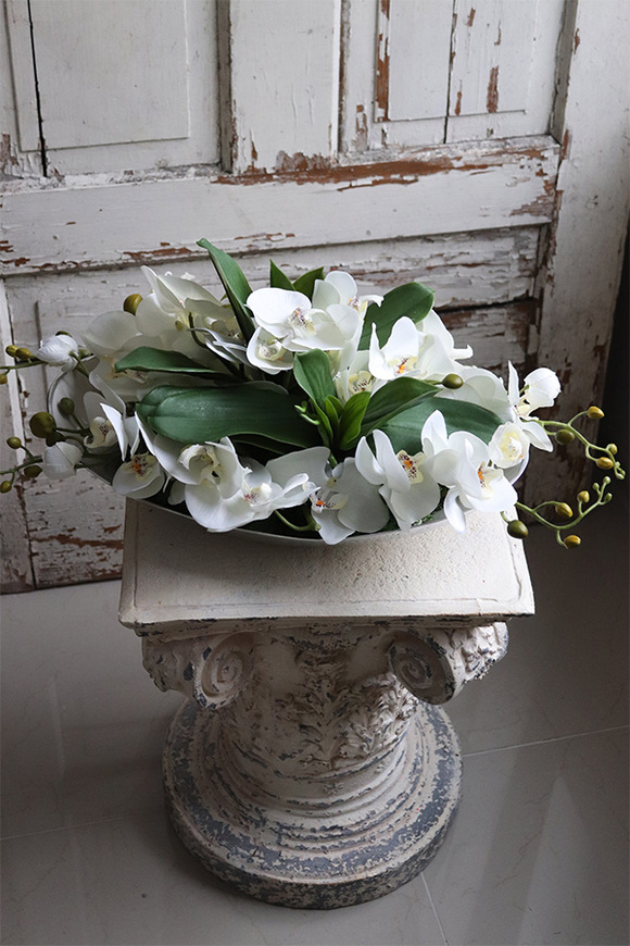 Dekoriato, kompozycja z orchideą w owalnej misie, wym.18x60cm