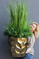 Trawa Gold Deluxe, dekoracja z trawami w metalowej donicy
