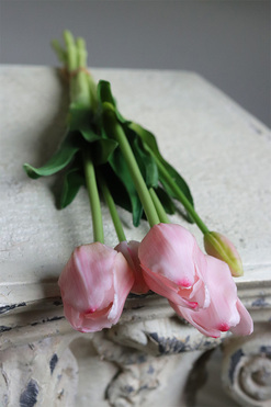 April New, bukiet tulipanów silikonowych Śmietankowy Różowy, 5szt. dł.46cm