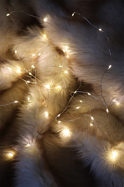 zewnętrzne lampki / światełka, Silver Wire, 240 LED