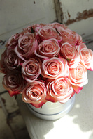 Róża, bogaty flowerbox z różami, wys.32cm 