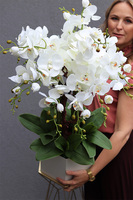 Grenotta, sztuczny storczyk na stojaku