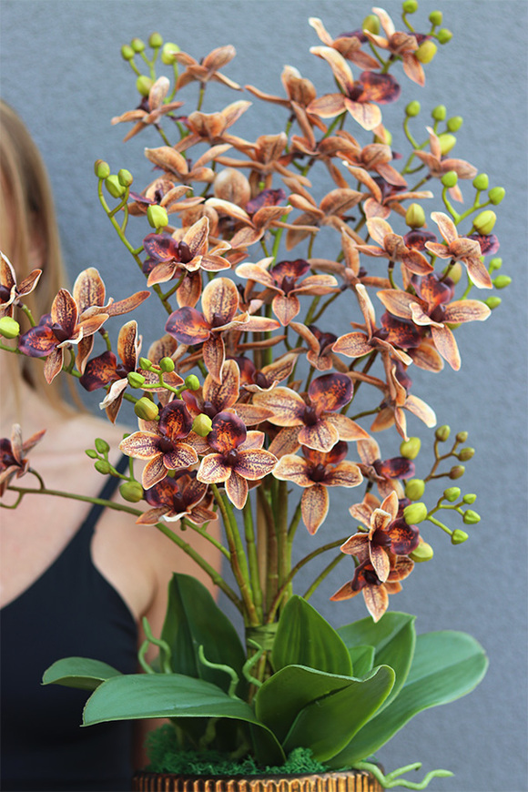 Thai Selania Gold, sztuczny storczyk