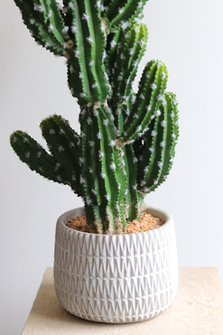 OD RĘKI Kaktus A, sztuczna roślina w osłonce z tworzywa sztucznego, dł.83cm