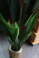 Strelicja Goldigo, sztuczna roślina w doniczce