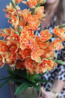 Orange Gold, sztuczny storczyk w doniczce