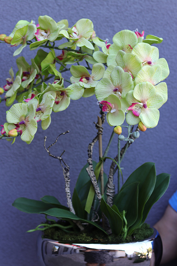 Greenfelo, sztuczny storczyk w lustrzanej donicy, wys.58cm