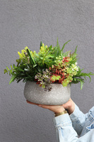 Stone Style, sukulenty w donicy z lastryko