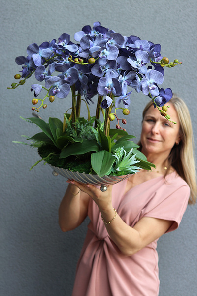 granatowy storczyk na srebrnej paterze, Blue Laonella