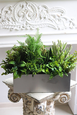 Sukulenty Steel Modern A, zielona dekoracja w stalowej donicy, wym.40x50cm