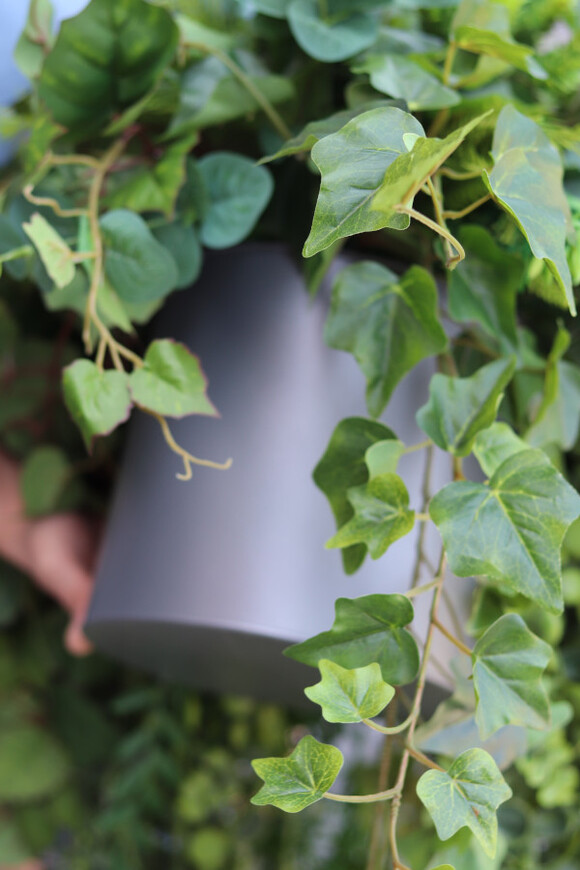 Green Moni, zielona kompozycja wisząca, mniejsza