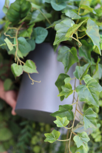 Green Moni, zielona kompozycja wisząca, mniejsza