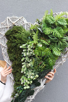 Serce Zielone, walentynkowa dekoracja